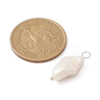 Natural Baroque Pearl Keshi Pearl Pendants PALLOY-JF02132-1