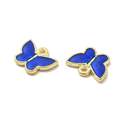 Alloy Enamel Charms PALLOY-I217-06G-1