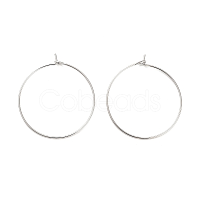 Brass Hoop Earring Findings LS-KK-R112-038D-1