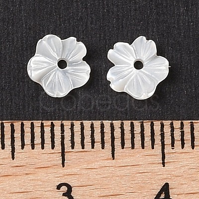 Natural White Shell Beads SSHEL-C012-23A-1