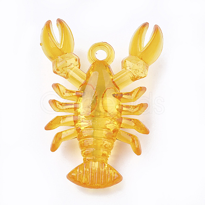 Transparent Acrylic Pendants TACR-S149-02-1