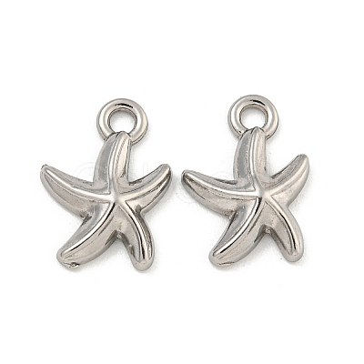 Non-Tarnish 304 Stainless Steel Charms STAS-I307-517P-1