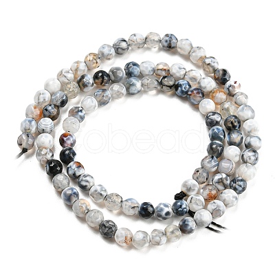 Dyed Natural Fire Crackle Agate Beads Strands G-G007-01F-1