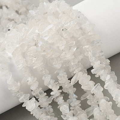 Natural Rainbow Moonstone Chip Beads Strands G-C195-01-1