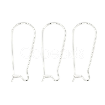 304 Stainless Steel Hoop Earring Findings STAS-P223-01S-04-1