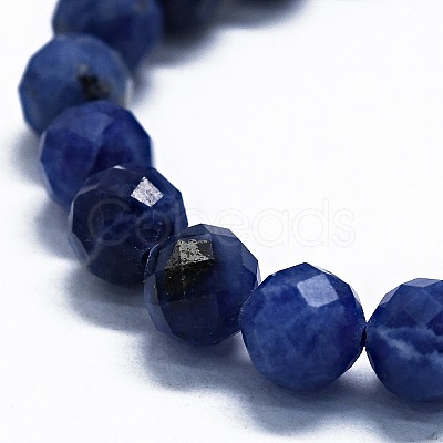 Natural Sodalite Beads Strands G-G927-42-1