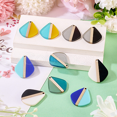 10Pcs 5 Colors Transparent & Opaque Resin & Wood Pendants RESI-TA0004-64-1