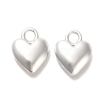 Long-Lasting Plated Alloy Charms PALLOY-A006-18S-1