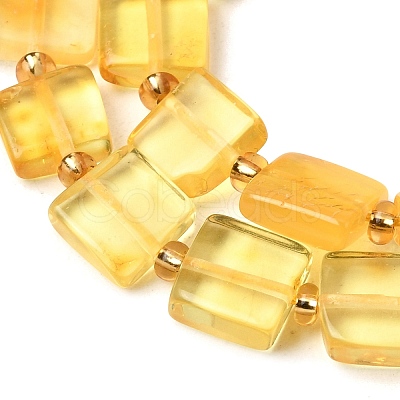 Natural Amber Beads Strands G-C260-A01-04-1