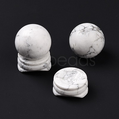 Natural Howlite Display Decorations DJEW-G032-02J-1
