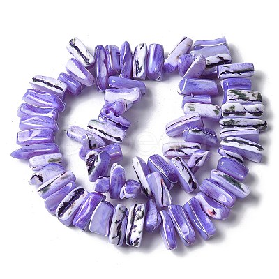 Dyed Natural Trochus Shell Beads Strands SSHEL-C013-09-1