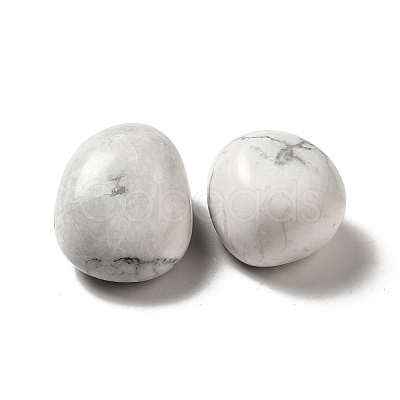 Natural Howlite Beads G-G979-A04-1