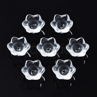 Transparent Glass Beads GLAA-Q089-002C-001-1