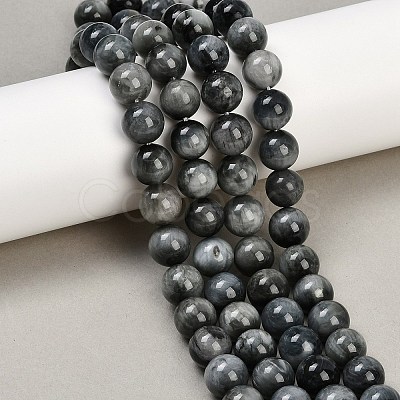 Natural Hawk's Eye Beads Strands G-S333-10mm-027-1
