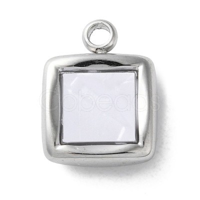 304 Stainless Steel Acrylic Pendants STAS-M091-02D-P-1