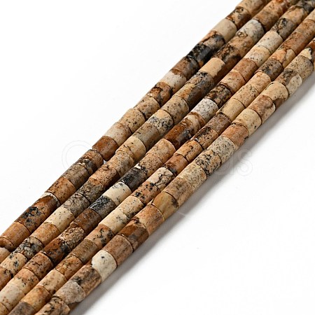 Natural Picture Jasper Beads Strands G-I326-09-1