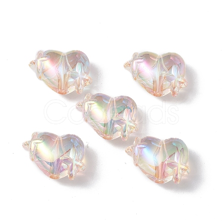 Transparent Acrylic Beads X-OACR-B005-01B-1