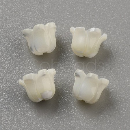 Natural Sea Shell Carved Beads SHEL-WH0001-021A-1