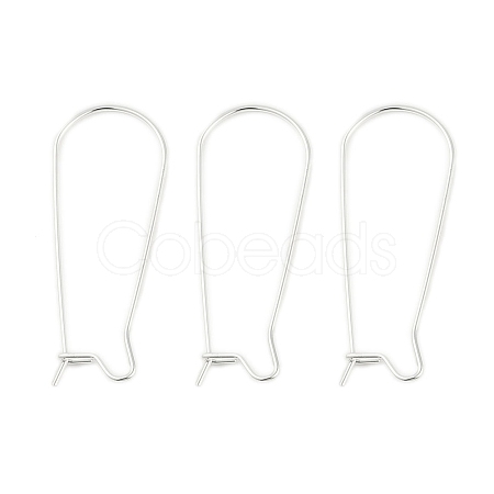 304 Stainless Steel Hoop Earring Findings LS-STAS-P223-01S-04-1