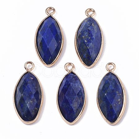 Natural Lapis Lazuli Pendants G-T131-07B-1