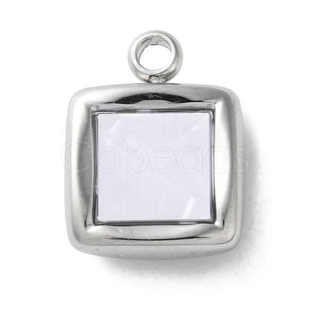 304 Stainless Steel Acrylic Pendants STAS-M091-02D-P-1