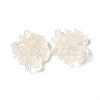 Transparent Resin Cabochons RESI-G027-01A-1