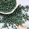 Transparent Inside Colours Glass Seed Beads SEED-H002-A-C221-1