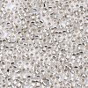 Glass Seed Beads X-SEED-S042-04B-06-3
