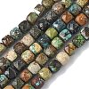 Natural Turquoise Beads Strands G-L651-D02-6x6mm-2