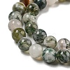 Natural Tree Agate Round Gemstone Beads Strands G-R255-6mm-3