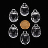 Autumn Theme Transparent Acrylic Pendants TACR-T024-04B-205-4