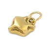 304 Stainless Steel Charms LS-STAS-P391-01B-G-2