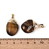 Natural Tiger Eye Pendants G-N360-05G-07-3