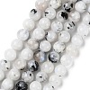 Natural Rainbow Moonstone Beads Strands G-Q1001-A05-02-2