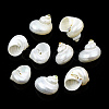 Natural Spiral Shell Beads X-SSHEL-N034-126-1