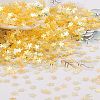 Plastic Sequins Beads PVC-R024-06A-3