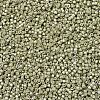 MIYUKI Delica Beads SEED-MY11-DB1181-3