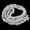 Natural Rainbow Moonstone Chip Beads Strands G-C195-01-3