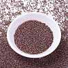 MIYUKI Delica Beads SEED-JP0008-DB1013-2