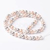 Round Shell Pearl Bead Strands X-BSHE-E007-8mm-01-2