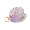 Raw Rough Natural Amethyst Copper Wire Wrapped Pendants PALLOY-JF02787-02-4