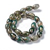 Tibetan Style dZi Beads Strands TDZI-E005-01M-4