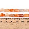 Dyed Natural Agate Beads Strands G-T141-15A-01-5