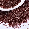 MIYUKI Delica Beads SEED-X0054-DB2160-1