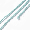 3-Ply Medium Polyester Luminous Yarn LS-OCOR-C003-01B-3