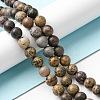 Natural Dendritic Jasper Beads Strands G-E598-01-4