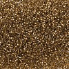 MIYUKI Delica Beads X-SEED-J020-DB0181-3