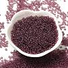 Transparent Colours Glass Round Seed Beads SEED-B001-06A-01-2