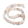 Natural Agate Beads Strands G-F745-01-3