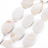 Natural Freshwater Shell Beads Strands SHEL-N026-169-1